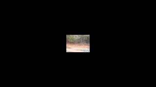 Real Estate Listing For Newton, Nc- Evergreen Lot 48 Dr. Tak