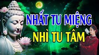 Phật Dạy Tu Tại Tâm Không Bằng Tu Tại Miệng, Người Hay Khẩu Nghiệp Ắt Nhận Quả Báo Đắng Cay