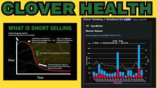 Are Short Sellers Backing Off? The Latest on Clover Health CLOV Stock!