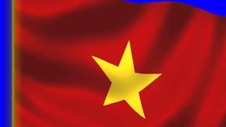Вьетнамский флаг DV на монохроме