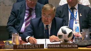 Deputy Foreign Minister Vershinin at the UNSC meeting on the Middle East and North Africa