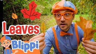 Blippi Creates Art with Autumn Leaves | Learning Colors for Kids | Educational Videos For Kids