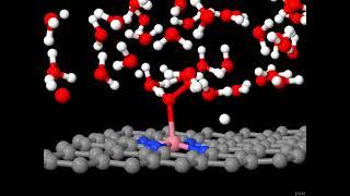 Hydrogen Peroxide (H2O2) Formation