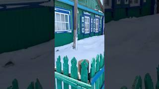 Домик в деревне. Село в Бескарагайском районе.