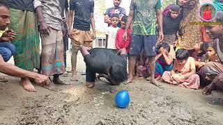 আজব এক খেলা কাঁদার মধ্যে মাথা দিয়ে বেলুন ফাটানো।৷ sr vip media / fanny video 2024