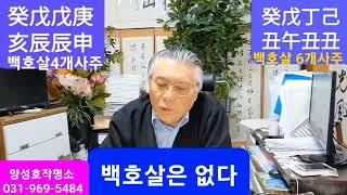 백호살은없다 백호살6개도 잘산다 명리학 올바른강의