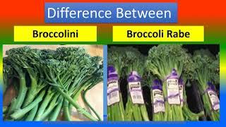 Difference Between Bbroccolini and Broccoli  Rabe