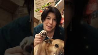 #читаемдома #рассказыоживотных #природа #семья #дети