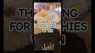 They Are So Amazing - Thrifting For Plushies with Tin #2 #thrifting #teddies