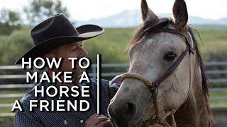 How to make a horse a friend. One cowboy's partnership with horses