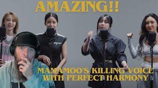 MAMAMOO's KILLING VOICE with perfect HARMONY MUSIC VIDEO REACTION!!  HOLY CRAP!  AMAZING!