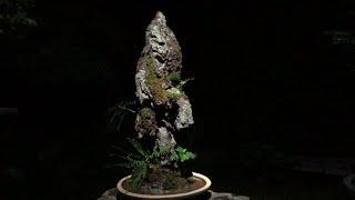 Artificial mountain covered in moss and  ferns - miniature landscape