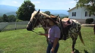 Tennessee Dude & Guest Ranch | Tennessee Crossroads | Episode 2415.2