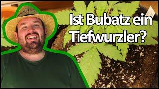 Woche 3 meines Bubatz-Versuchs mit Stoff-Töpfen | Bubatz mit Flol