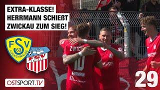 Extra-Klasse! Herrmann schießt Zwickau zum Sieg: Luckenwalde - Zwickau | Regionalliga Nordost