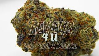 DOSI-PUNCH & ROCKSTAR REVIEW | THC REVIEWS 4 U