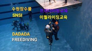 FREEDIVING  SNSI SSI  프리다이빙교육