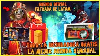  ¡SE CONFIRMA INCUBADORA GRATIS CAMALEON! AGENDA SEMANAL! TIENDA MISTERIOSA - BONUS DIAMANTES FF