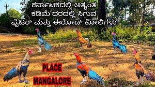 Karnataka’s cheapest Rooster  Market || Udupi - Mangalore cheapest Rooster