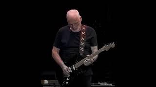 David Gilmour - In Any Tongue Final Solo