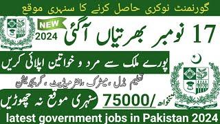 Latest government November jobs 2024 ۔ New jobs 2024 in pakistan۔Latest jobs in Pakistan 2024 today