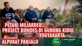 Petani Miliarder Project Bumdes di gunung Kidul Yogyakarta Bersama Alpukat Panjalu