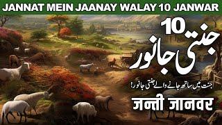 Jannat Mein Jaanay Walay 10 Janwar | 10 Heavenly Animals | Jannat | Noor Islamic