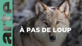 Un pacte pour les loups (3/3) | À la reconquête des Rocheuses ️ | ARTE Family