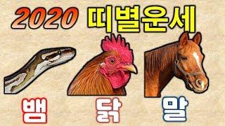 [경자년 운세] 2020년 조심해야할 띠 / 뱀띠 닭띠 말띠 신년 운세