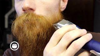 Trimming a Year Old Beard | Drew's Obsessions