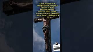 Não vos conformeis com este mundo, #Deus  #cristao  #jesus  #versiculododia   #versiculosdiario