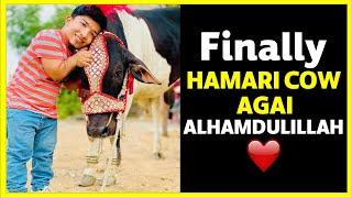 Finally Hamari Cow Agai Alhamdulillah ️