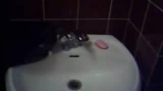 IMPOSSIBLE! Cat Frank tries to catch that water AGAIN!