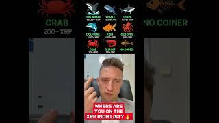 XRP Rich List… are you a Whale?   #xrpnews #crypto #XRP #xrppriceprediction