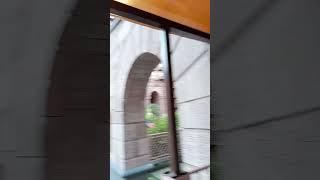 Террасная доска и Навес из сотового поликарбоната #козырёк #навес #полы #дпк  #террасная доска