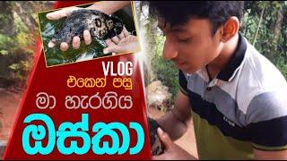 Vlog එකෙන් පසු මා හැරගිය ඔස්කා | Oscar | #Vlog04 | Thehan