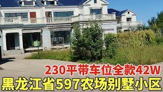 黑龙江省农场别墅小区，230平带车位全款42W，精装修拎包入住！【鬼头看房】