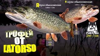 Русская рыбалка 4. оз. Куори  ТРОФЕЙ от LATORSO 