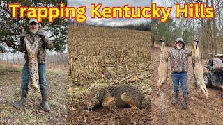 Showing sets and lots of catches, Trapping on a Kentucky hunting lease. #trapper