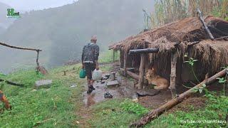 Most Relaxing Nepali Mountain Village Life | Daily Activities of Hari Rokaya Village People | Rainy