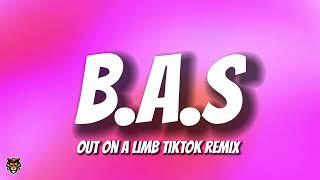 Megan Thee Stallion & Tenna Marie - B.A.S (Out On A Limb TikTok Remix)