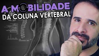 ENTENDA SOBRE A MOBILIDADE DA COLUNA VERTEBRAL.