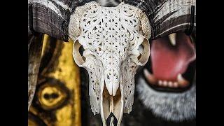 Bull Skull Art for Stunning Effect - Bull Carvings