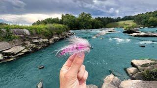 Stripers LOVE this Rainbow Trout Pattern! | Fly Fishing SC