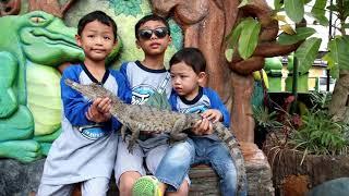 Memberi Makan Buaya dan Berfoto Bersama Buaya di Predator Fun Park