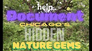 Help Document Chicago's Hidden Nature Gems