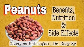 MANI (Peanuts): Health Benefits, Nutrition & Side Effects - Dr. Gary Sy