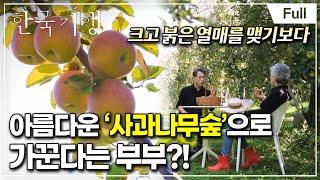 [Full] 한국기행 - 가을 맛나다 1부 사과나무 사랑 걸렸네