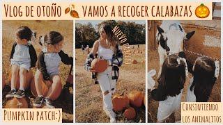 Vlog de otoñovamos a recoger calabazas+ las niñas consienten los animalitos+ cambio de look‍️