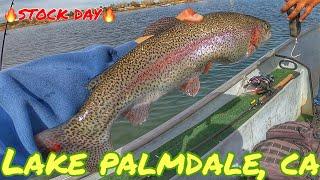 CHECKING OUT DAY OF TROUT STOCK BITE | PALMDALE FIN AND FEATHER CLUB | WINTER FEB 2024 #socalfishing